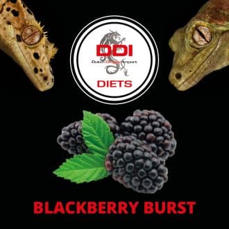 DDI Diets – Blackberry Burst 200 gramm