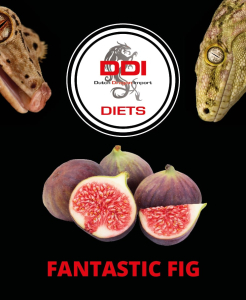 DDI Diets – Fantastic Fig 200 gramm