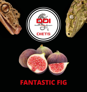 DDI Diets – Fantastic Fig 60 gramm